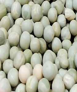 Patchai pattani/Green peas