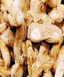 Dry Ginger/Sukku